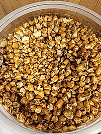 Patlak Kavurga Mısır 🌽